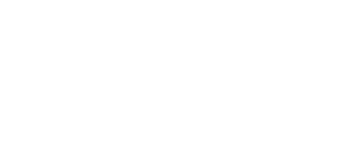 Romo Holding